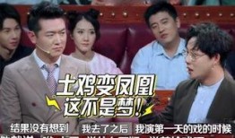 刘维爆料录音视频大全下载,揭秘娱乐圈幕后真相